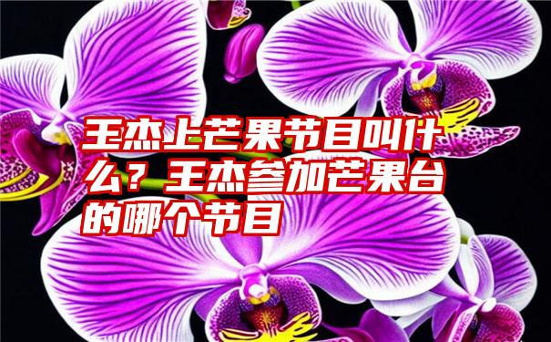 王杰上芒果节目叫什么？王杰参加芒果台的哪个节目