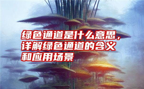 绿色通道是什么意思，详解绿色通道的含义和应用场景