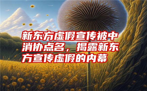 新东方虚假宣传被中消协点名，揭露新东方宣传虚假的内幕