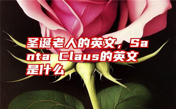 圣诞老人的英文，Santa Claus的英文是什么