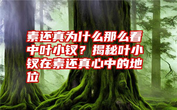 素还真为什么那么看中叶小钗？揭秘叶小钗在素还真心中的地位