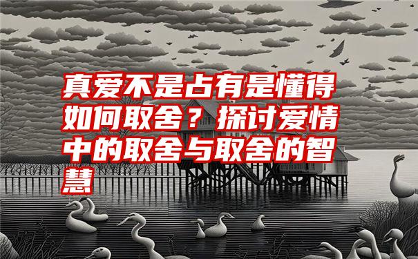 真爱不是占有是懂得如何取舍？探讨爱情中的取舍与取舍的智慧