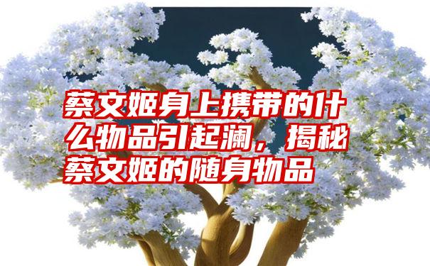 蔡文姬身上携带的什么物品引起澜，揭秘蔡文姬的随身物品