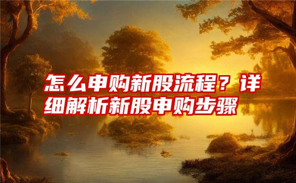 怎么申购新股流程？详细解析新股申购步骤