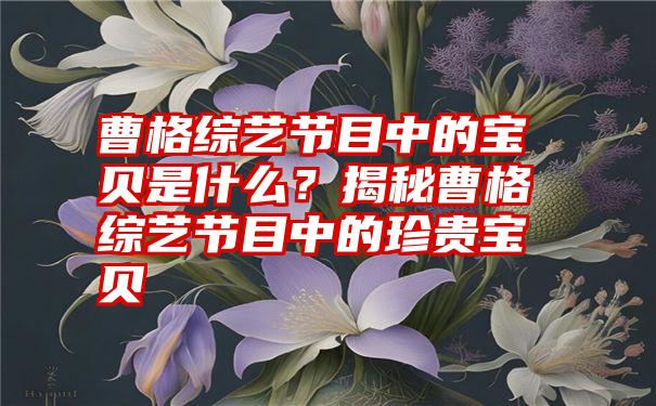 曹格综艺节目中的宝贝是什么？揭秘曹格综艺节目中的珍贵宝贝