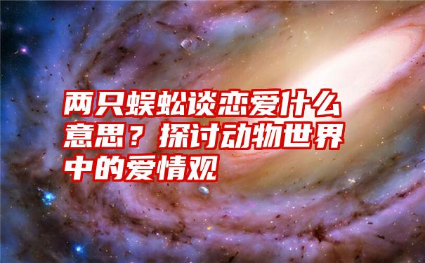 两只蜈蚣谈恋爱什么意思？探讨动物世界中的爱情观