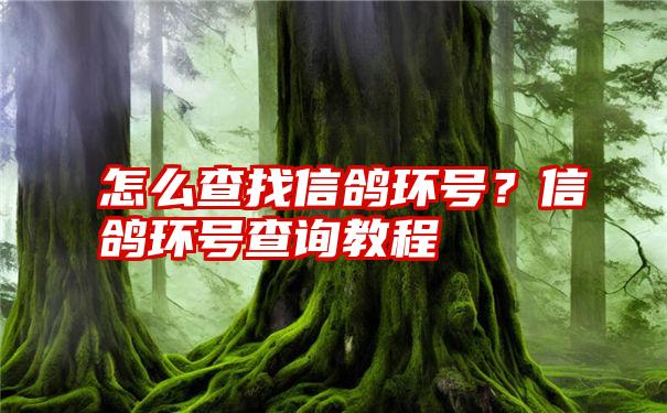 怎么查找信鸽环号？信鸽环号查询教程