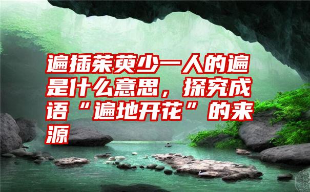 遍插茱萸少一人的遍是什么意思，探究成语“遍地开花”的来源