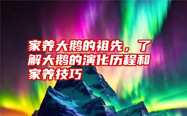 家养大鹅的祖先，了解大鹅的演化历程和家养技巧