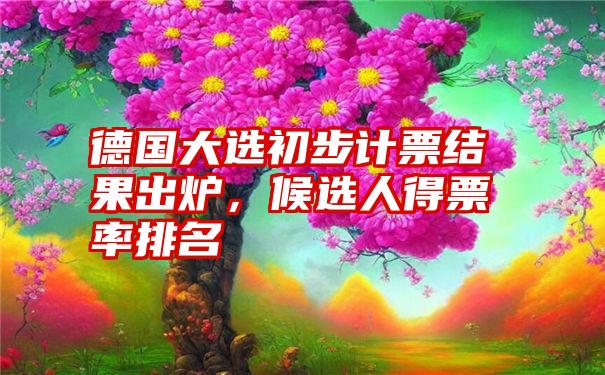 德国大选初步计票结果出炉，候选人得票率排名