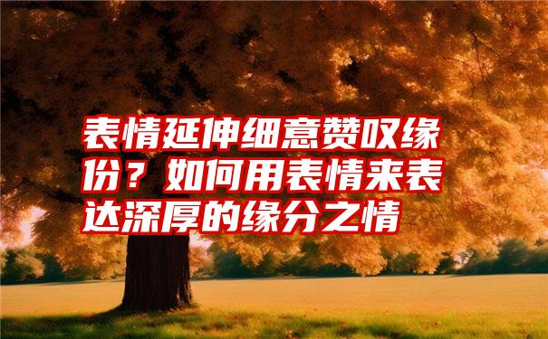 表情延伸细意赞叹缘份？如何用表情来表达深厚的缘分之情