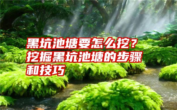 黑坑池塘要怎么挖？挖掘黑坑池塘的步骤和技巧