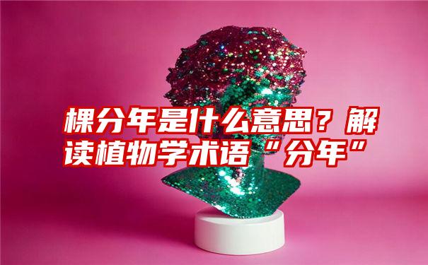 棵分年是什么意思？解读植物学术语“分年”