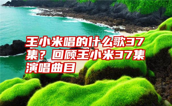 王小米唱的什么歌37集？回顾王小米37集演唱曲目