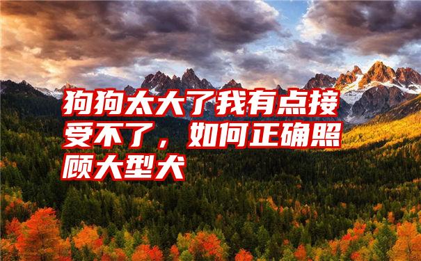 狗狗太大了我有点接受不了，如何正确照顾大型犬