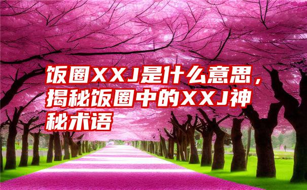 饭圈XXJ是什么意思，揭秘饭圈中的XXJ神秘术语