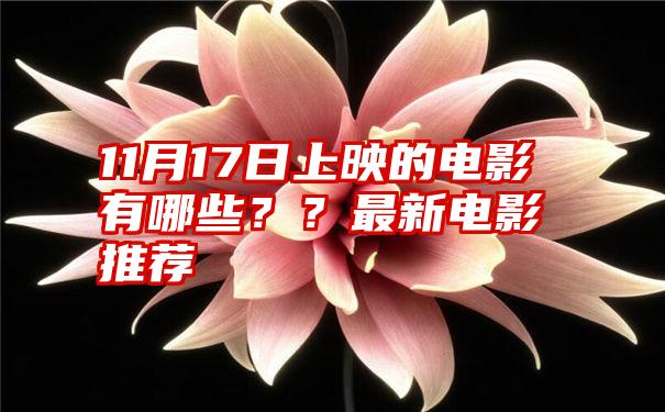 11月17日上映的电影有哪些？？最新电影推荐