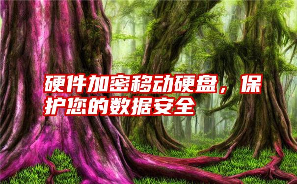 硬件加密移动硬盘，保护您的数据安全