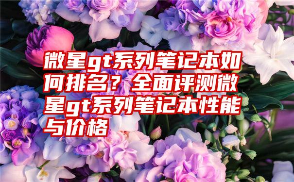 微星gt系列笔记本如何排名？全面评测微星gt系列笔记本性能与价格