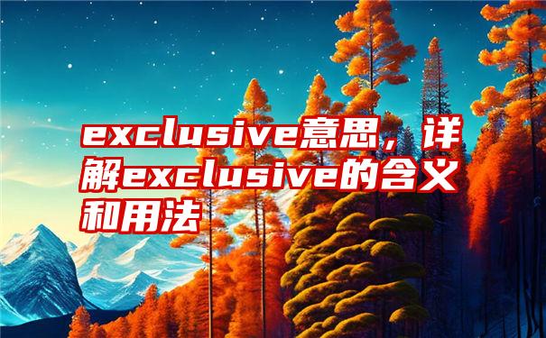 exclusive意思，详解exclusive的含义和用法