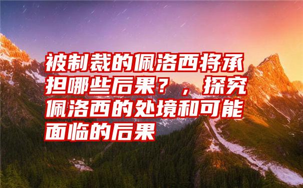 被制裁的佩洛西将承担哪些后果？，探究佩洛西的处境和可能面临的后果