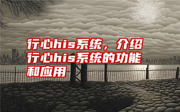 行心his系统，介绍行心his系统的功能和应用