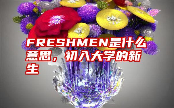 FRESHMEN是什么意思，初入大学的新生