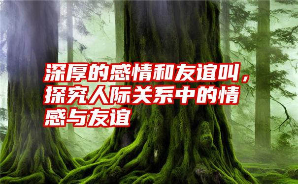 深厚的感情和友谊叫，探究人际关系中的情感与友谊