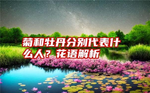 菊和牡丹分别代表什么人？花语解析