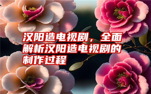 汉阳造电视剧，全面解析汉阳造电视剧的制作过程