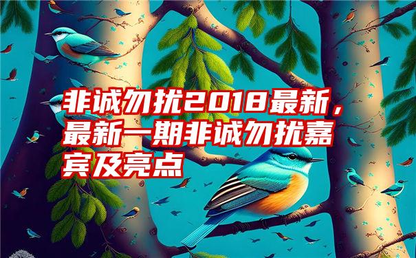 非诚勿扰2018最新，最新一期非诚勿扰嘉宾及亮点