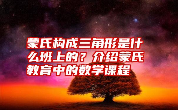 蒙氏构成三角形是什么班上的？介绍蒙氏教育中的数学课程