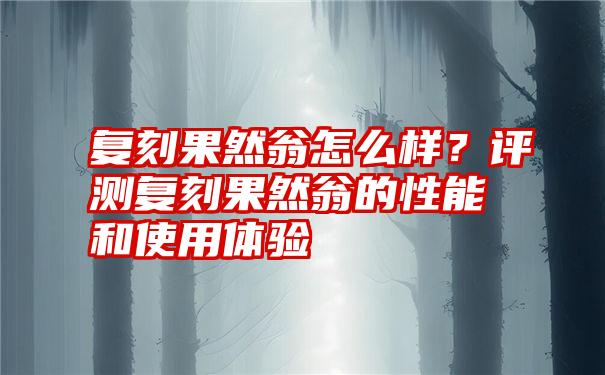 复刻果然翁怎么样？评测复刻果然翁的性能和使用体验