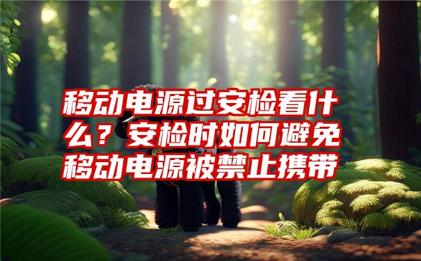 移动电源过安检看什么？安检时如何避免移动电源被禁止携带