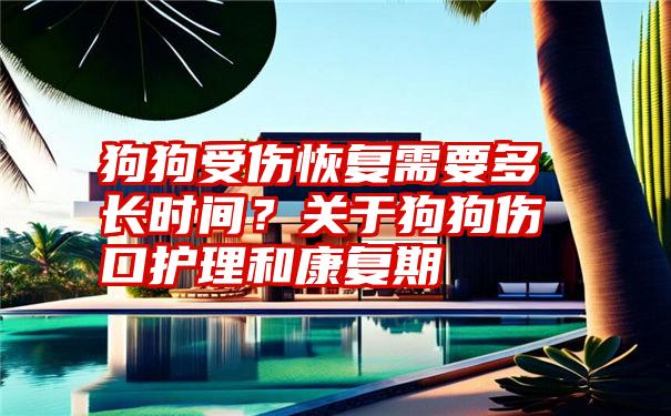 狗狗受伤恢复需要多长时间？关于狗狗伤口护理和康复期