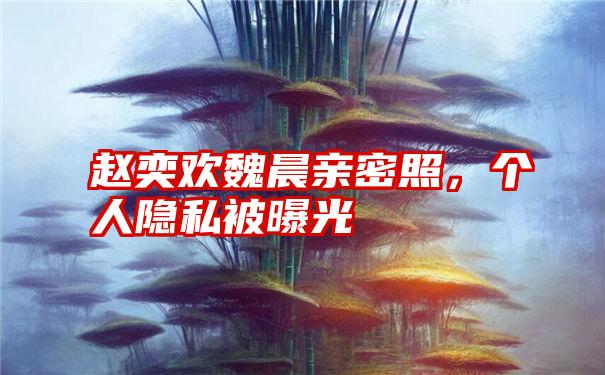 赵奕欢魏晨亲密照，个人隐私被曝光