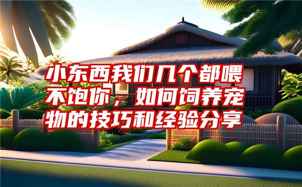 小东西我们几个都喂不饱你，如何饲养宠物的技巧和经验分享