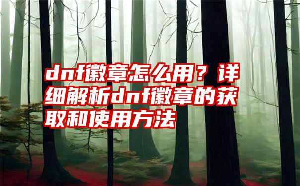 dnf徽章怎么用？详细解析dnf徽章的获取和使用方法