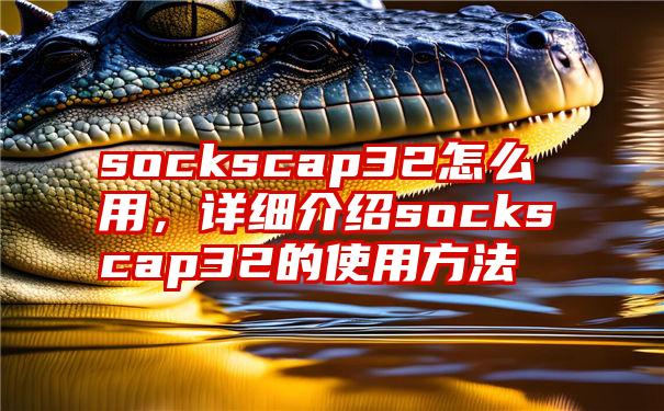 sockscap32怎么用，详细介绍sockscap32的使用方法