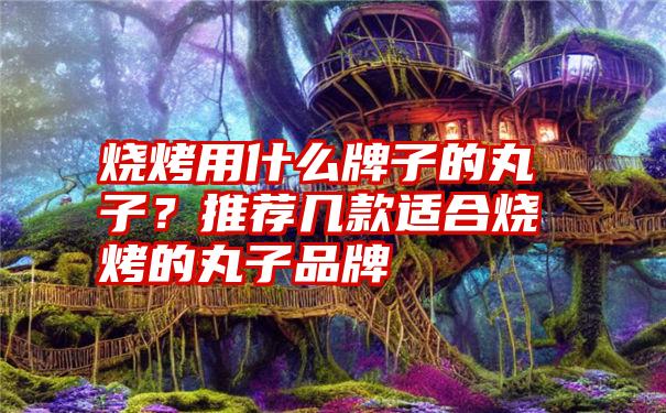 烧烤用什么牌子的丸子？推荐几款适合烧烤的丸子品牌