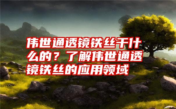 伟世通透镜铁丝干什么的？了解伟世通透镜铁丝的应用领域