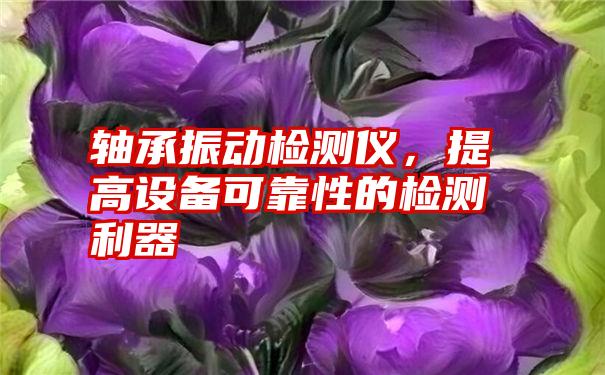 轴承振动检测仪，提高设备可靠性的检测利器