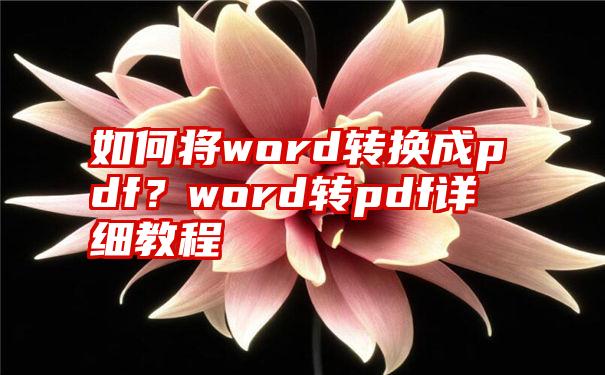 如何将word转换成pdf？word转pdf详细教程