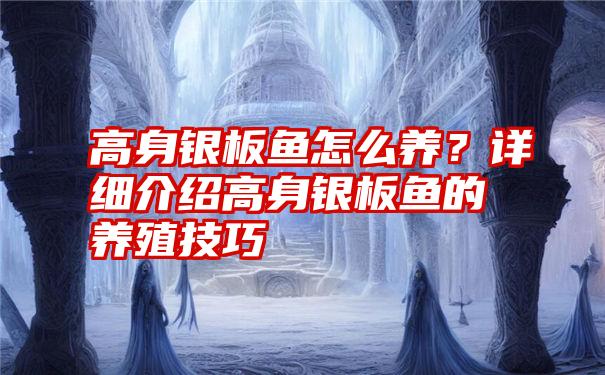 高身银板鱼怎么养？详细介绍高身银板鱼的养殖技巧