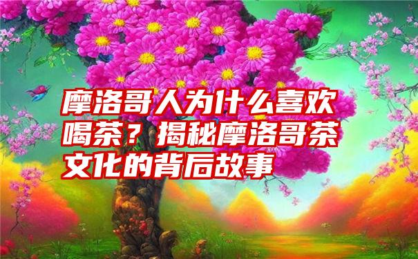 摩洛哥人为什么喜欢喝茶？揭秘摩洛哥茶文化的背后故事