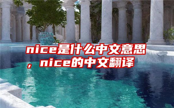 nice是什么中文意思，nice的中文翻译