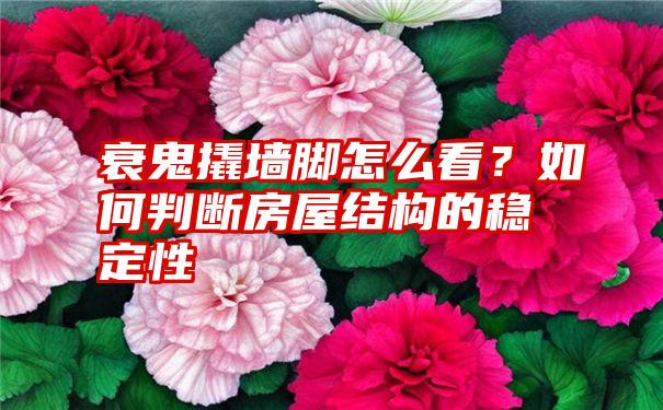 衰鬼撬墙脚怎么看？如何判断房屋结构的稳定性