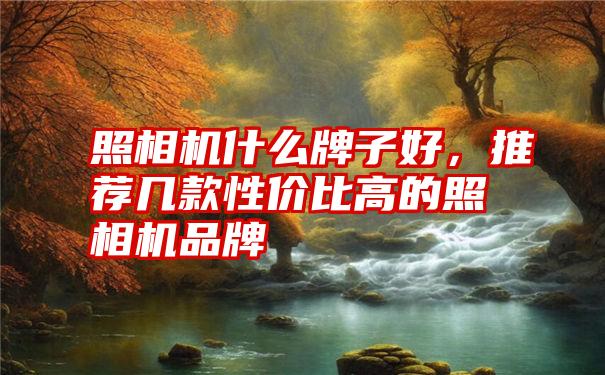 照相机什么牌子好，推荐几款性价比高的照相机品牌