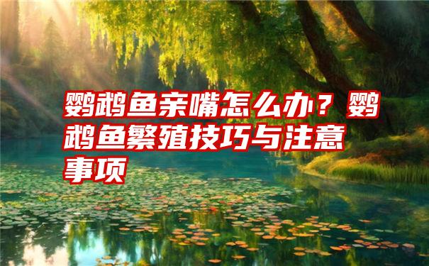 鹦鹉鱼亲嘴怎么办？鹦鹉鱼繁殖技巧与注意事项