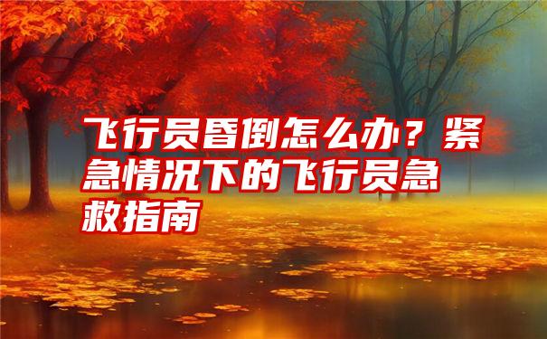 飞行员昏倒怎么办？紧急情况下的飞行员急救指南